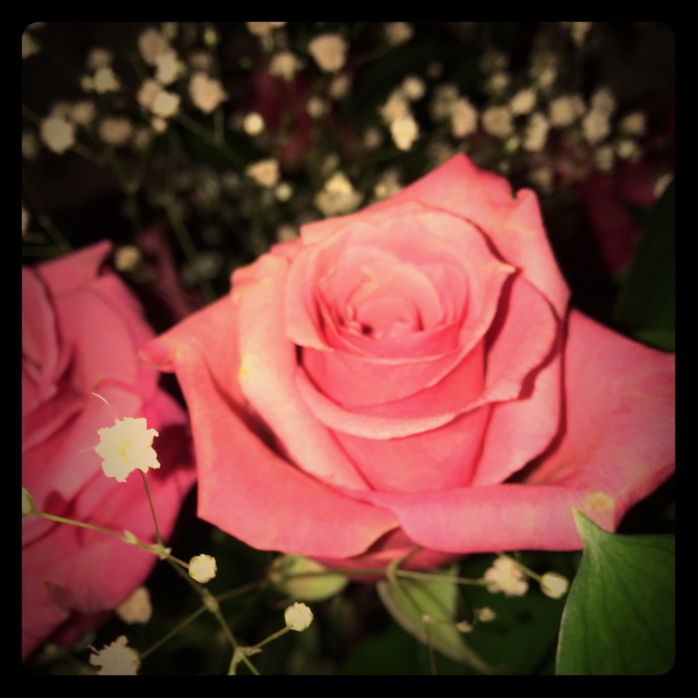 Meet your Posher, Myigee